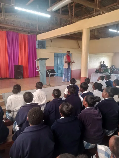 Mentorship Program